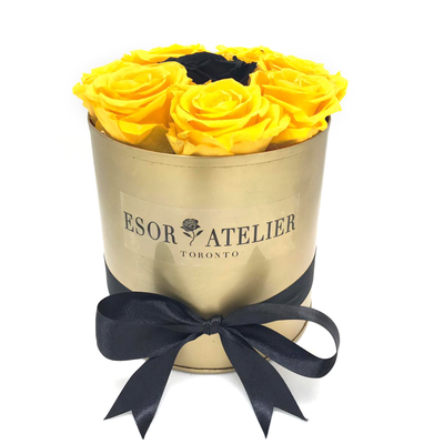 https://cdn.shopify.com/s/files/1/0066/8588/4486/files/Tresor_Splendor_VDO_final.mp4?12800593894491466235