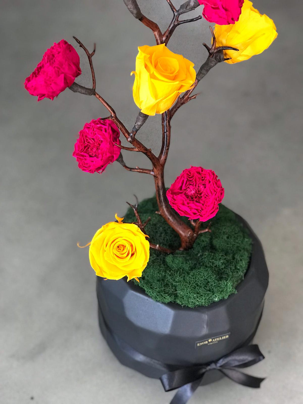 Célia - Esor Atelier