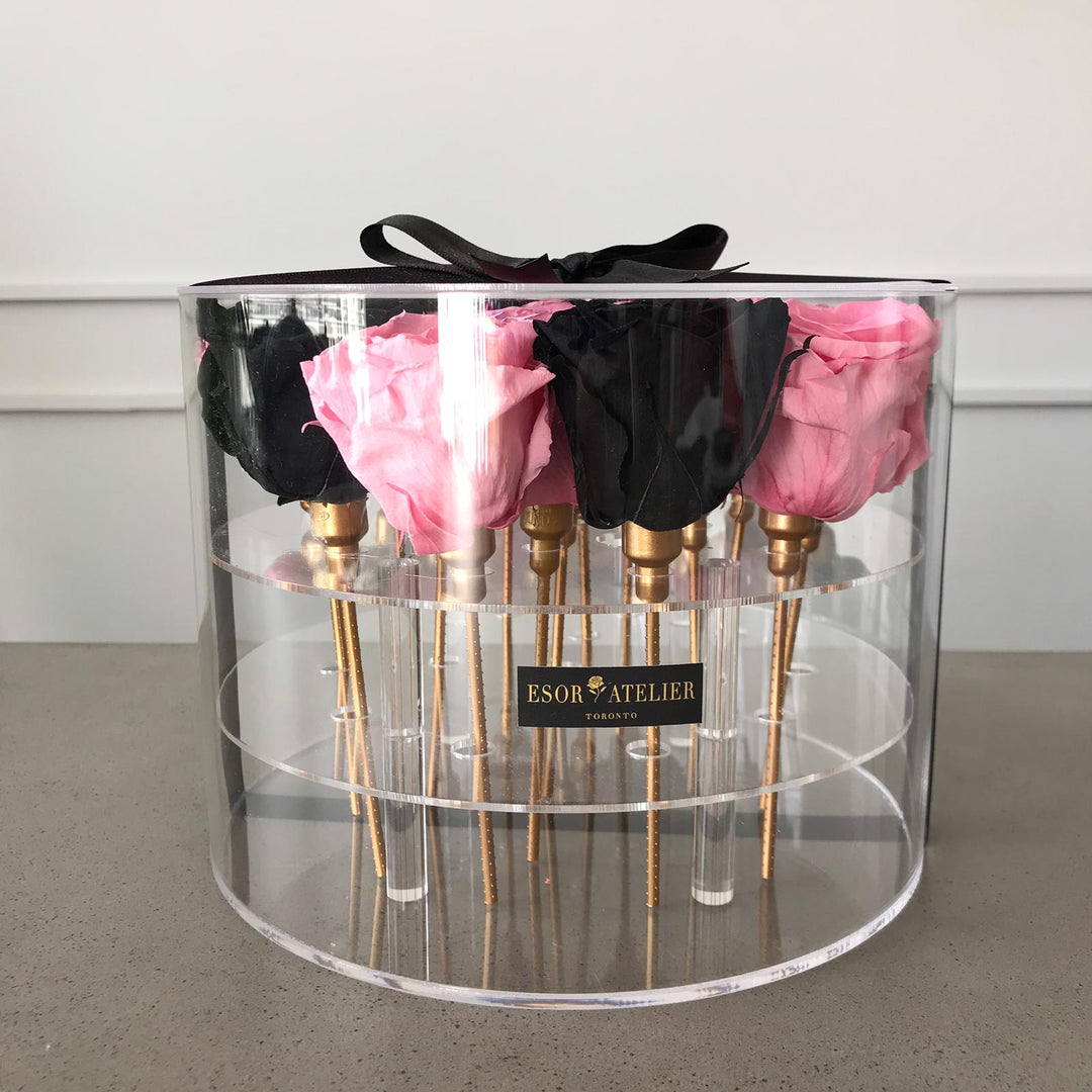 Odette - Esor Atelier