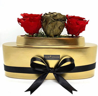 https://cdn.shopify.com/s/files/1/0066/8588/4486/files/Victoria1.mp4?15759695079440519382