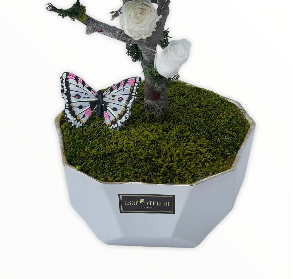 Lynette - Esor Atelier