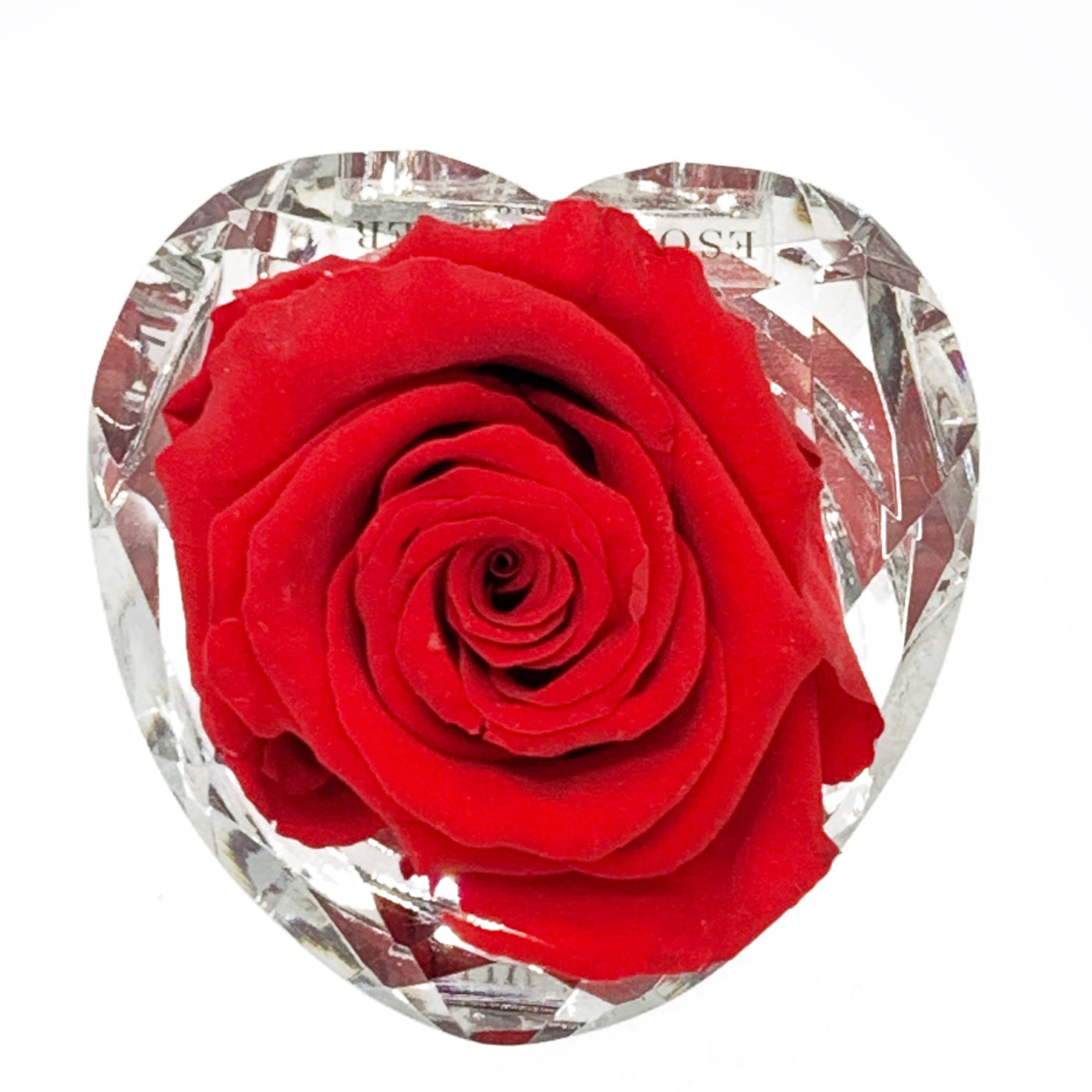https://cdn.shopify.com/s/files/1/0066/8588/4486/files/IMG_1258.mp4?726