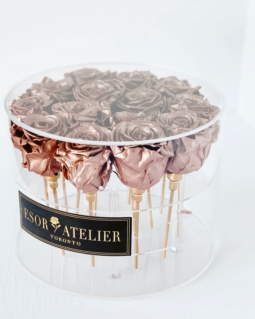 Odette - Esor Atelier
