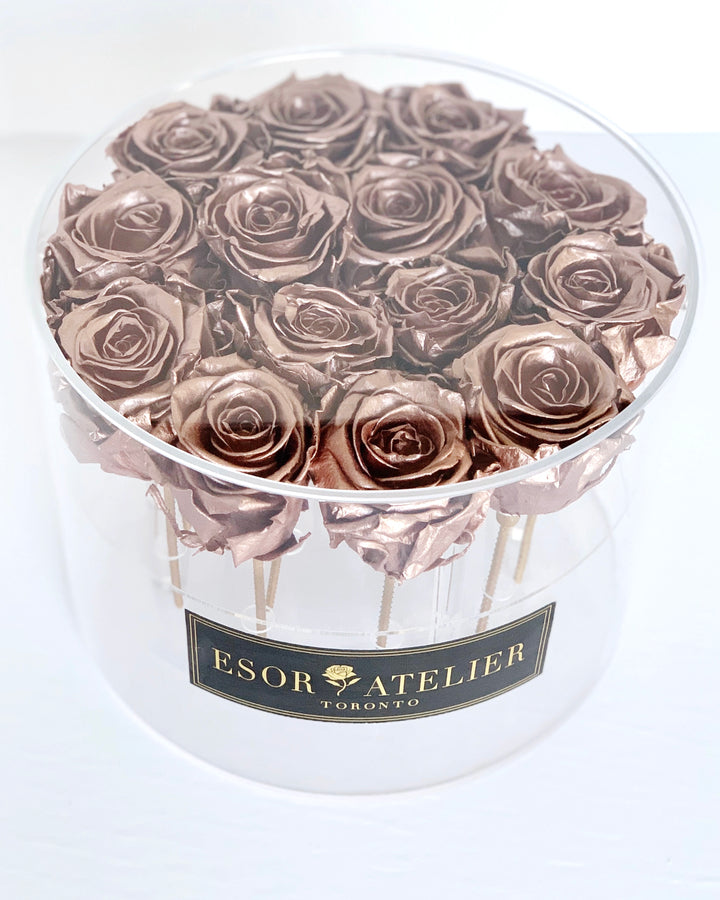 Odette - Esor Atelier