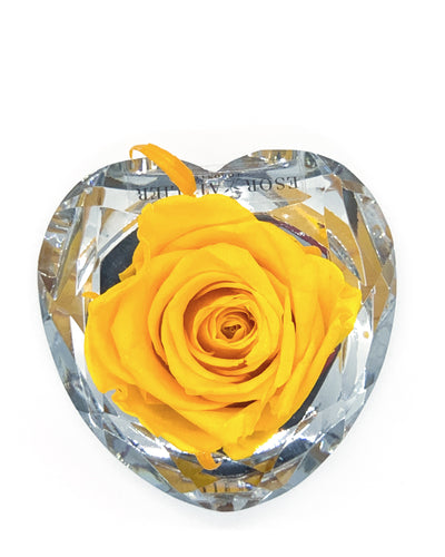 Heart Rose