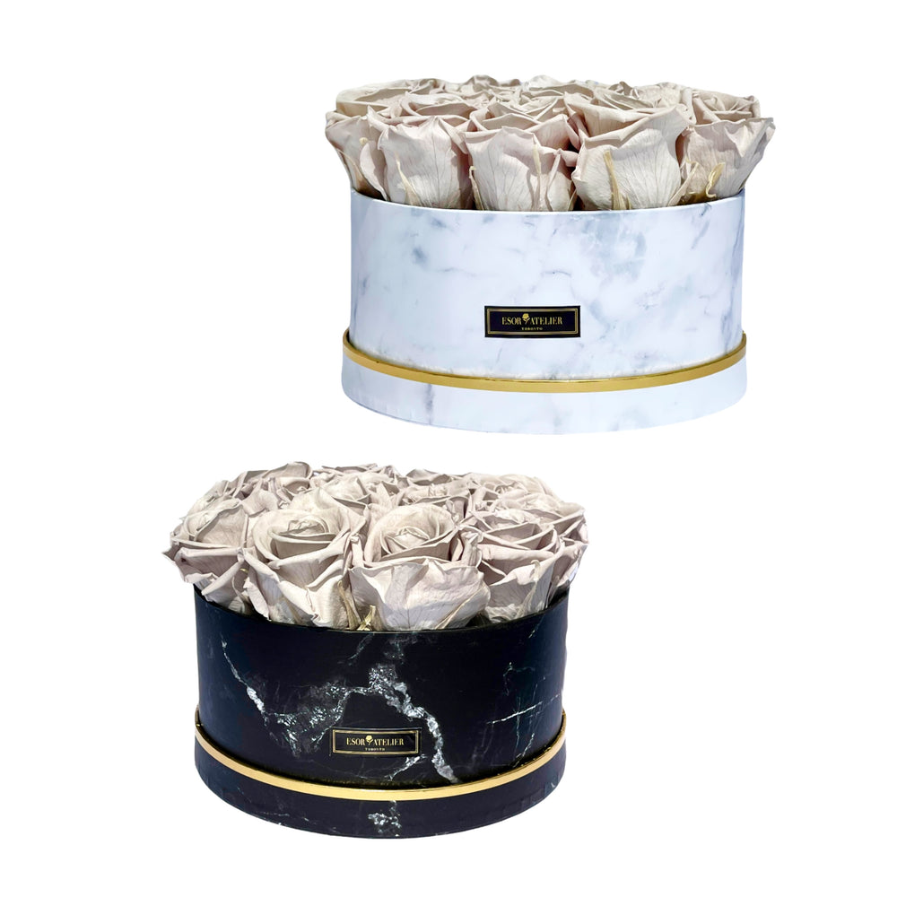 Georgine - Esor Atelier