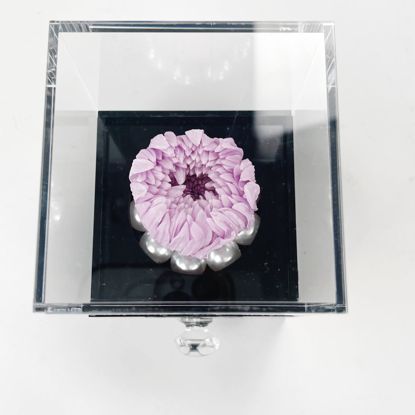 Violette