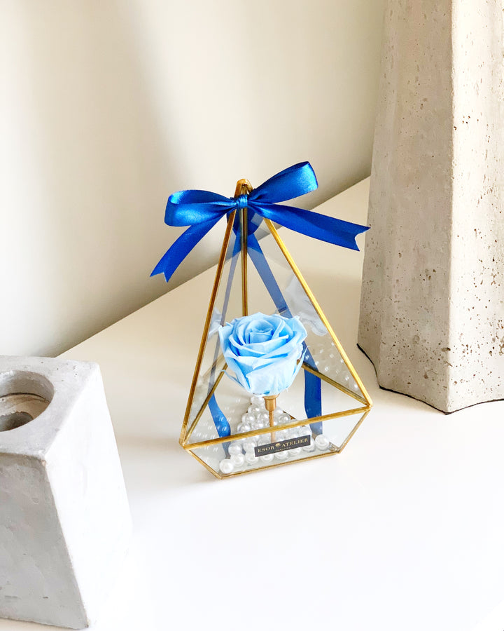 Opulence - Esor Atelier